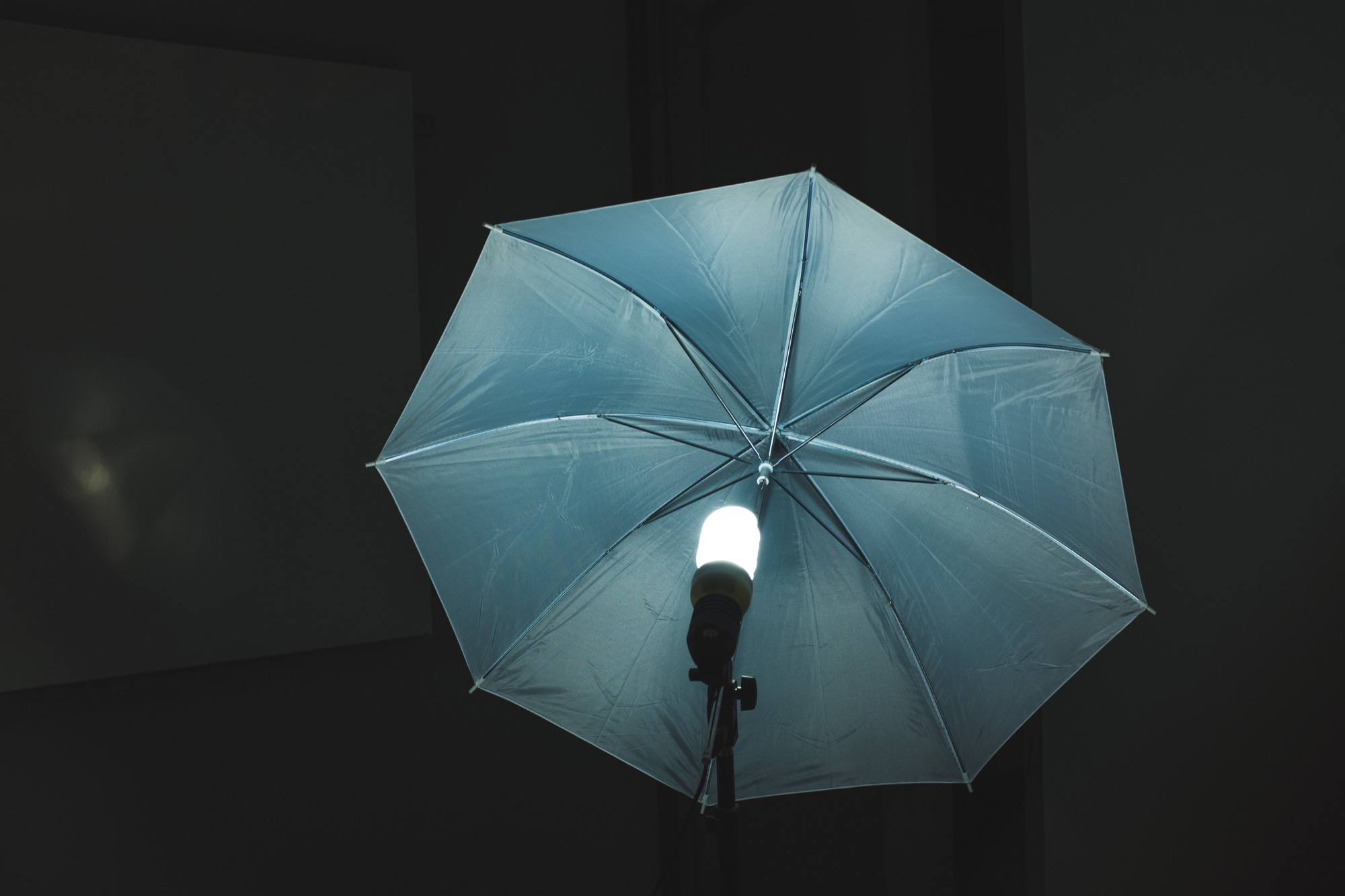 a light with a reflective umbrella